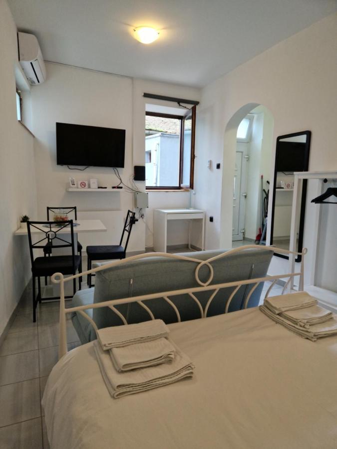 Studio Apartman Gajba In City Center ザグレブ エクステリア 写真